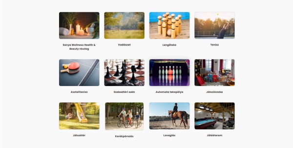 Teleki-Degenfeld Castle Hotel - services grid list block